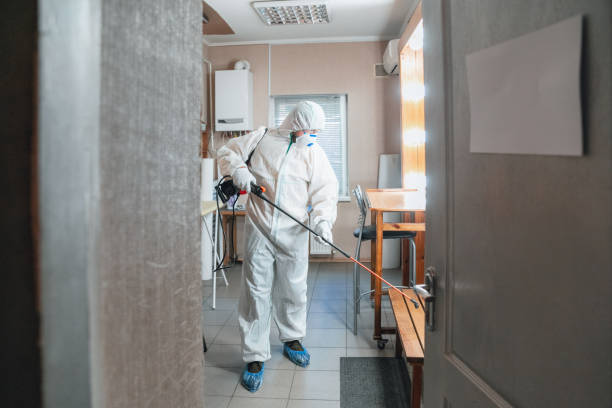 Best Mold Odor Removal Services  in Hurley, NM