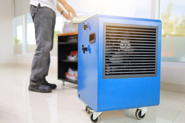 Best Mold Documentation for Insurance Claims  in Hurley, NM