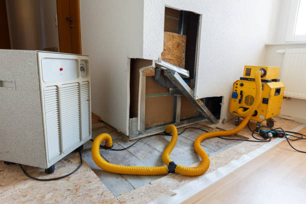 Best Emergency Mold Remediation  in Hurley, NM